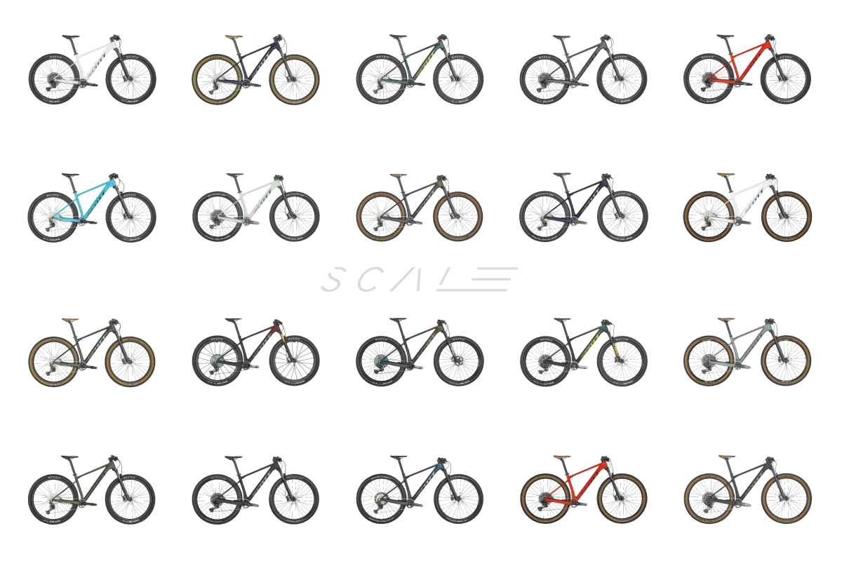 Kolesa Scott Scale